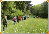 Wandern über Wald und Wiese